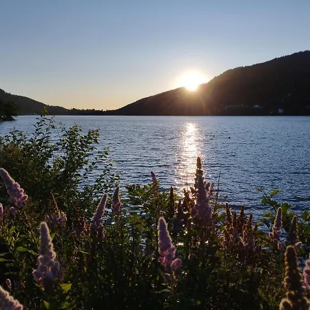 Daire Appt F3 - La Bresse/cornimont Cornimont