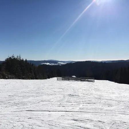 Appt F3 - La Bresse/cornimont