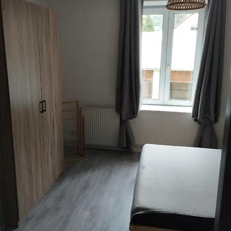 Daire Appt F3 - La Bresse/cornimont Cornimont