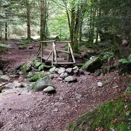 Appt F3 - La Bresse/cornimont Daire Cornimont