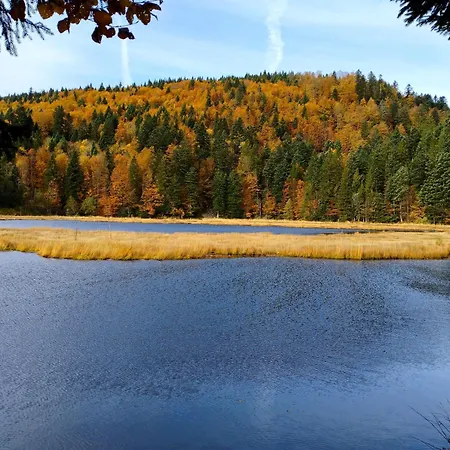 Appt F3 - La Bresse/cornimont Cornimont