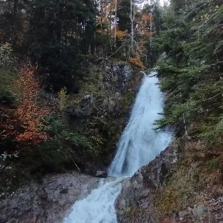 Daire Appt F3 - La Bresse/cornimont Cornimont