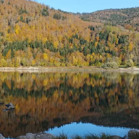 Appt F3 - La Bresse/cornimont Daire *