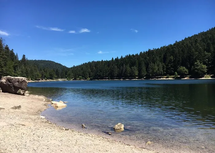 Appt F3 - La Bresse/cornimont Apartament Cornimont