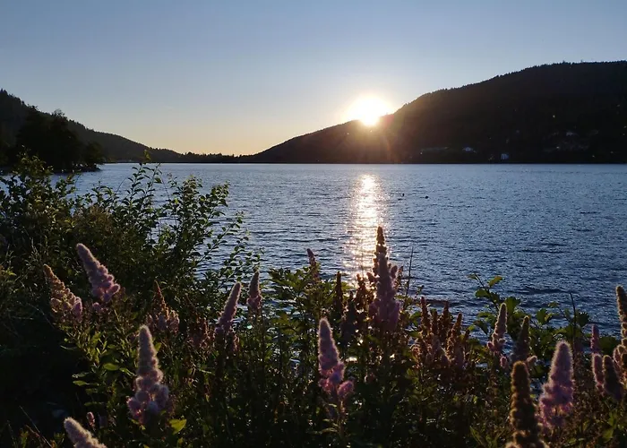 Apartament Appt F3 - La Bresse/cornimont Cornimont