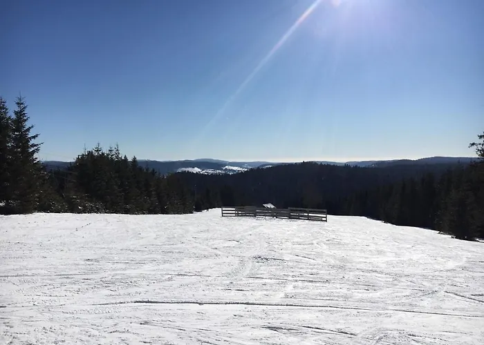 Appt F3 - La Bresse/cornimont