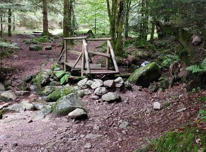 Appt F3 - La Bresse/cornimont Apartament Cornimont