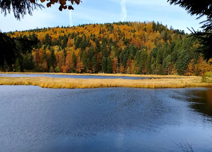 Appt F3 - La Bresse/cornimont Cornimont