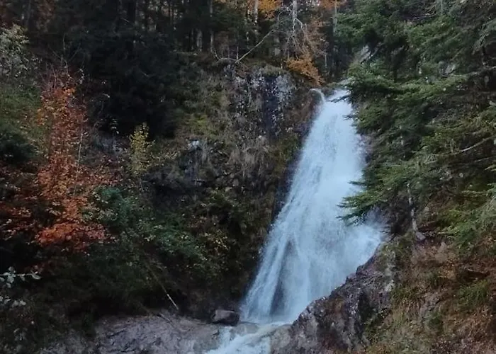 Appartement Appt F3 - La Bresse/cornimont Cornimont