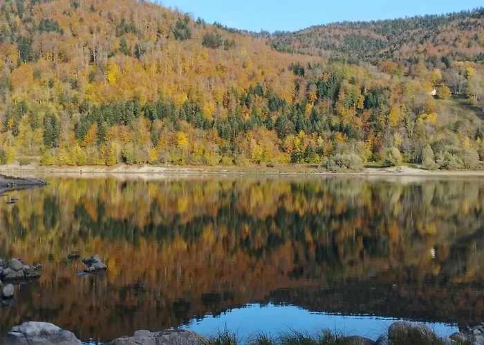 Appt F3 - La Bresse/cornimont Appartement *